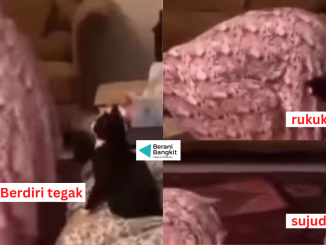 solat