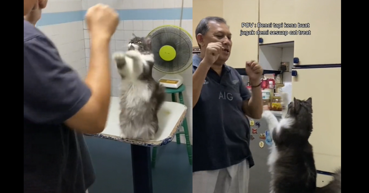 Rintik Sedu bersama kucing kesayangannya Bedul