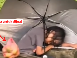 kanak-kanak