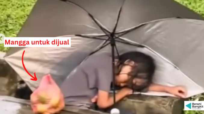 kanak-kanak