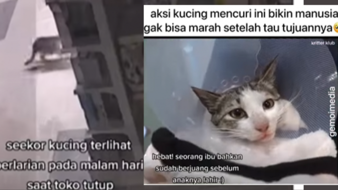 mencuri makanan