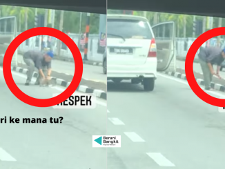 lelaki selamatkan kucing