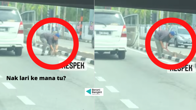 lelaki selamatkan kucing